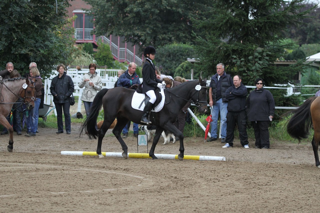 Bild 839 - WBO-Turnier am 18.9.11